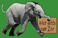 Zum Zoo